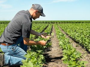 Якутия в числе регионов, которые получат гранты ветеранам СВО на открытие агробизнеса