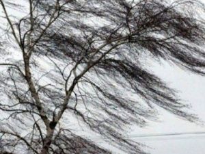 Днем 6 апреля в Якутске существенных осадков не ожидается