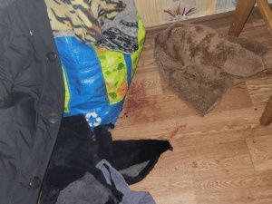 29-летняя якутянка пыталась убить родную мать