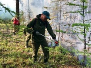 Путин поручил увеличить группировку для тушения пожаров в Якутии