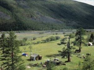 В ООН проверят сообщения о рекордных +38°С на полюсе холода в Якутии