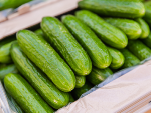 Свежим овощам и зелени от резидента ТОР «Якутия» отдают предпочтение якутские шеф-повара