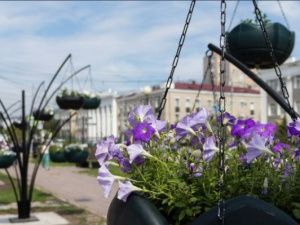Осуждённые подарили Якутску частичку красоты