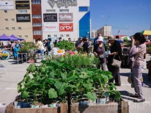 На Комсомольской площади состоится выставка-ярмарка «Дача. Огород. Усадьба»