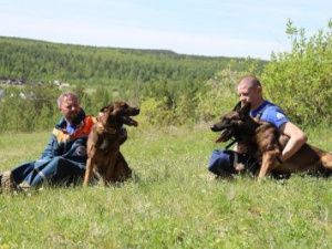 Если одного направляют на поиски, то второй очень переживает