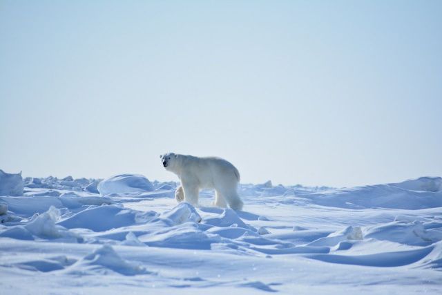 Нижнеколымский район Якутии в цифрах и фактах