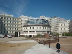 «Ректор хочет ликвидировать уникальную оранжерею Ботанического сада СВФУ»?