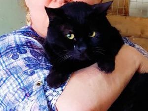 Советник Ил Дархана пострадала от АК «Якутия»