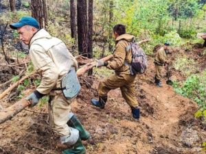 В Якутии растёт площадь лесных пожаров, но угрозы населённым пунктам нет