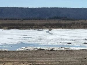 В пригородах Якутска вода спала