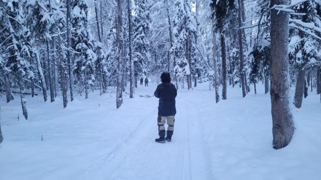 Многочисленные следы падений: на Вилюйском тракте под Якутском найдено тело мужчины, которого знакомый оставил в лесу