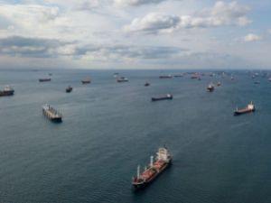 Минобороны РФ приостанавливает движение судов, следующих по «зерновому» коридору