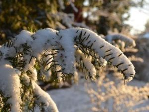 Народные приметы на 29 декабря 2022 года — что нельзя делать в этот день