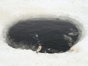 В проруби нашли тело убитого…