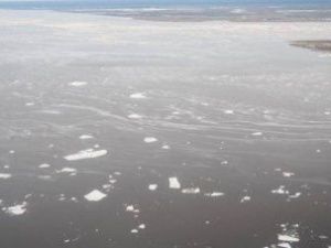 Паводок-2020: на Лене продолжается понижение уровня воды