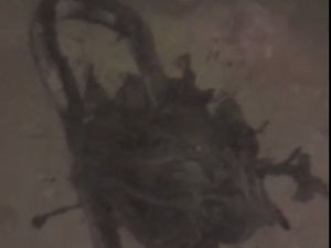 В Якутске кто-то из жильцов многоквартирного дома бросил в канализацию тряпку и устроил разлив