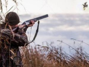 Россельхознадзор Якутии: Высока вероятность заноса в республику возбудителя птичьего гриппа