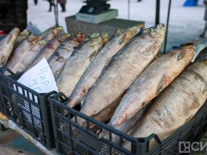 Море рыбы: Традиционная ярмарка развернулась на Комсомольской площади