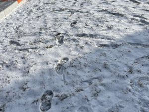 Якутян просят не ходить по наклонному ландшафту обновленной площади Якутска