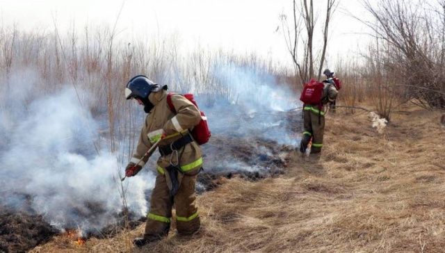 Пожарные ликвидировали горение травы на Зеленом лугу