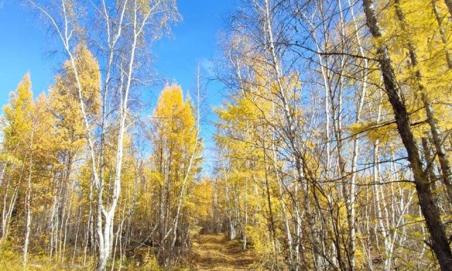В Среднеколымском районе Якутии ищут пропавшего три месяца назад мужчину