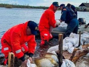 Количество подтопленных дворов в селе Черкех Таттинского улуса увеличилось до 77