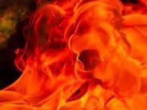 В Ленском районе загорелись база отдыха, дом егеря и три других здания