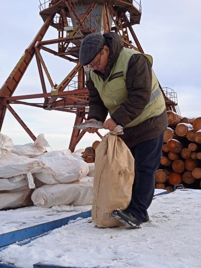 В Якутии выявлено превышение нормы мышьяка в мороженой рыбе