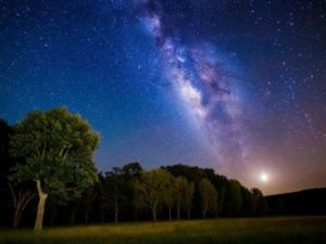 Гороскоп на 6 августа 2025 года для всех знаков зодиака