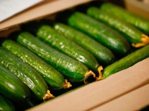 «Саюри» на огурцы и томаты цены не повышал, повышают предприниматели 