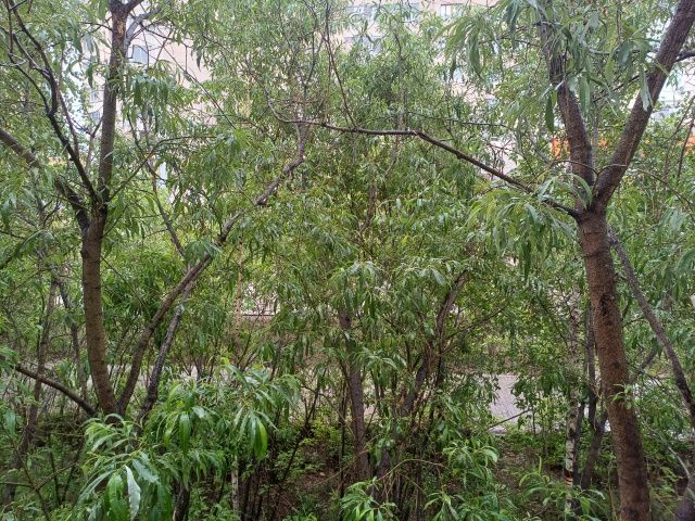 Лето называется: Тепло вообще вернется или нет?