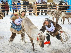 IV съезд оленеводов республики пройдет в Якутске