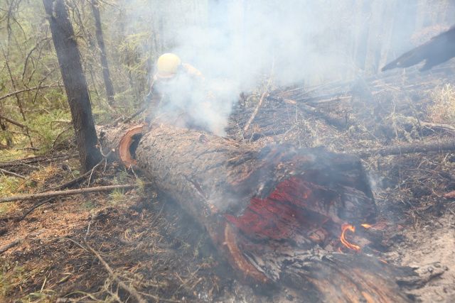 29 лесных пожаров действуют в Якутии