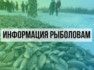 Минэкологии Якутии информирует о разрешениях на осуществление любительского рыболовства