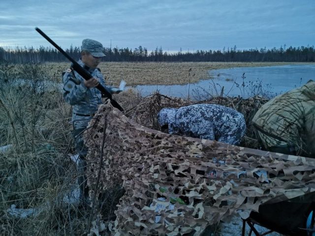 В Якутии участились случаи незаконной добычи уток, занесенных в Красную книгу