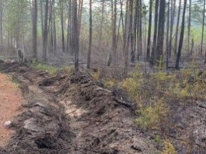 В Минэкологии прокомментировали ситуацию с пожарами у села Кустур