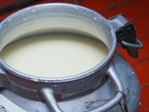 Кирилл Бычков: «На заготовку молока правительство республики направляет в 2024 году более 3,5 млрд рублей»