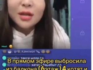 "Мешали и мяукали": Стали известны подробности по делу якутской стримерши, выбросившей котят с высоты в прямом эфире