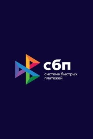 СБП или эквайринг: какой способ оплаты выбрать