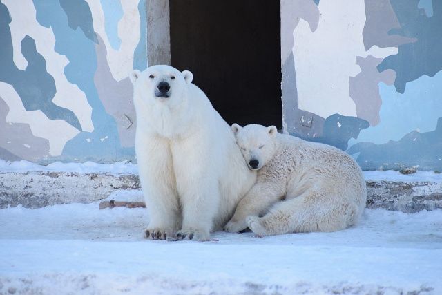 Якутяне планируют к Новому году ввести в строй объект культуры в ДНР