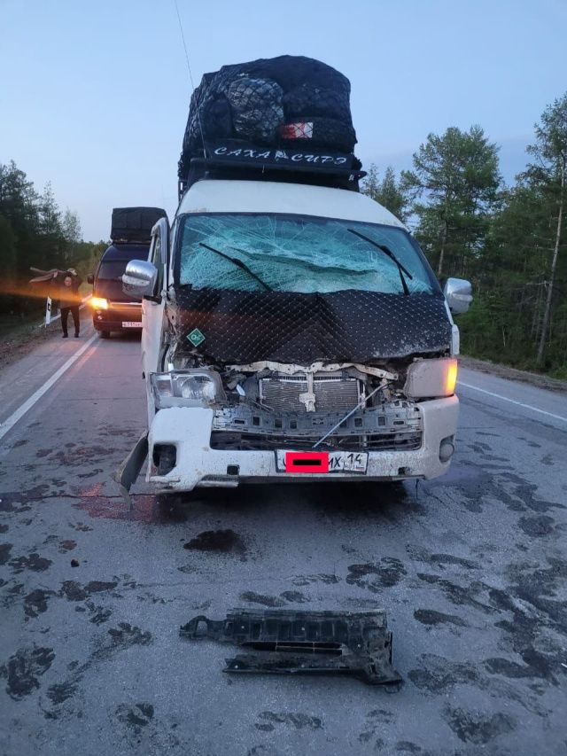 В Якутии таксист сбил на трассе корову и перерезал ей горло