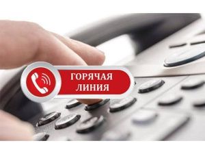 Прокуратура Якутии организовала горячую линию по вопросам ответственного обращения с безнадзорными животными