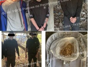 В г. Якутске задержаны организаторы канала поставки и сбыта наркотических средств синтетического происхождения