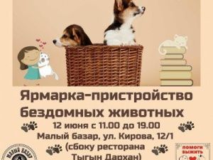 В Якутске пройдет ярмарка по пристройству бездомных животных