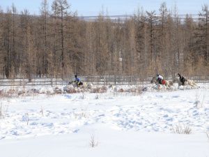 На скачках VIII республиканского Дня коневодов-табунщиков лучшими стали Хангаласский и Верхоянский улусы