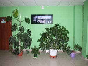 ГЛАВНОЕ – ЭТО ЛЮДИ И ИХ ЗДОРОВЬЕ! Как компания «Железные дороги Якутии» в кризис поликлинику открыла