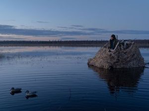 Весенняя охота на водоплавающую дичь в Якутии: сроки открытия по районам в 2024 году