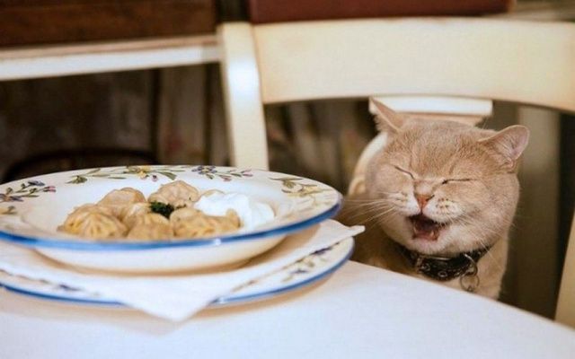 650 килограмм некачественных пельменей направлено на утилизацию Россельхознадзором в Якутии