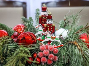 Ольга Балабкина со своим курируемым блоком министерств приняла участие в акции «Ёлка желаний»