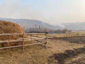 В Чурапчинском улусе мобилизовано население для борьбы с лесными пожарами